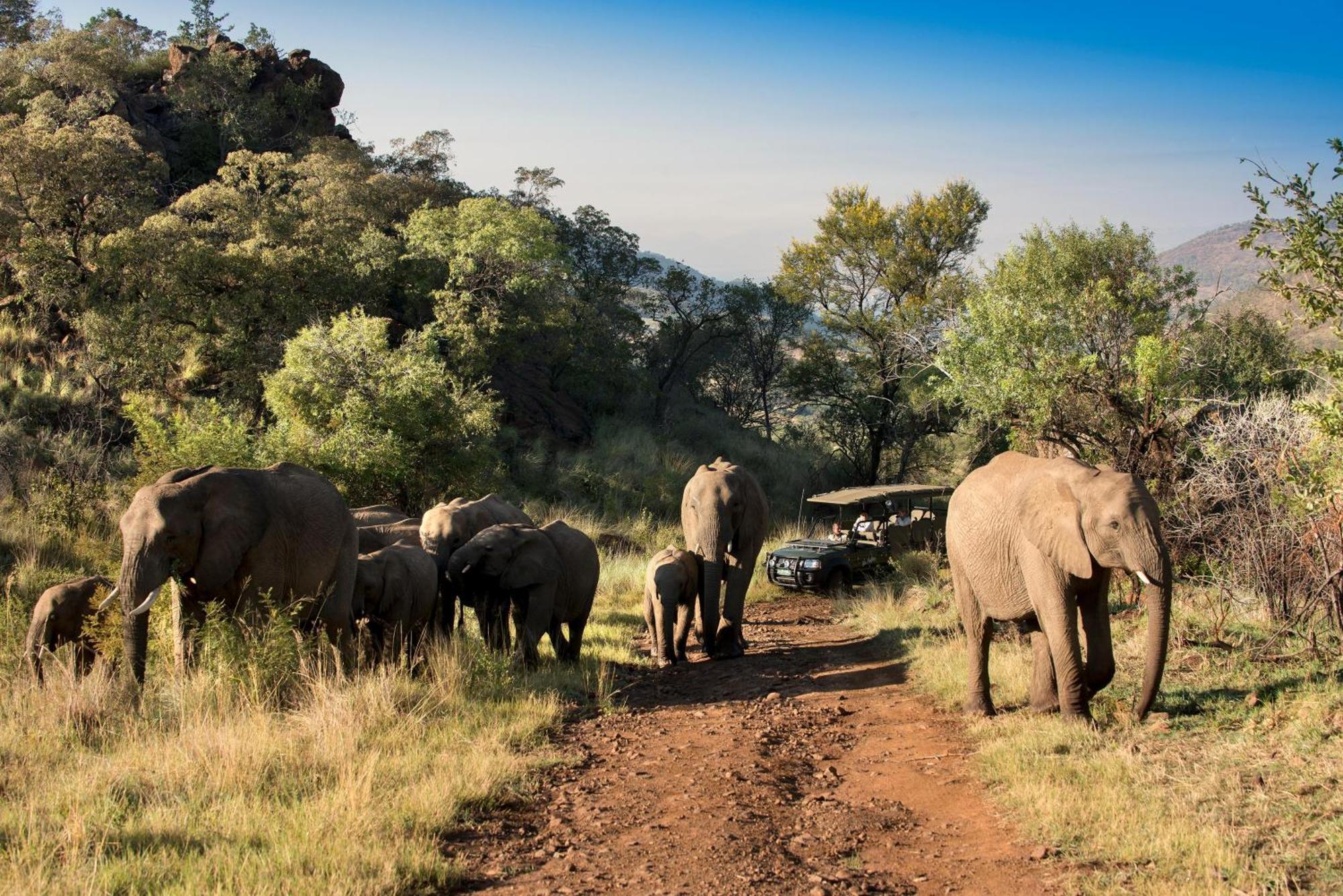 Kwa Maritane Lodge Ledig Zewnętrze zdjęcie