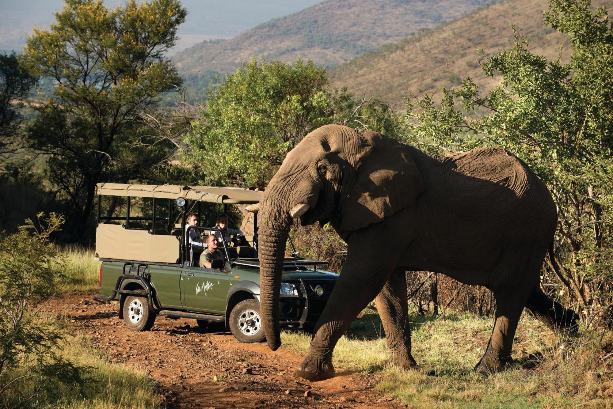 Kwa Maritane Lodge Ledig Zewnętrze zdjęcie
